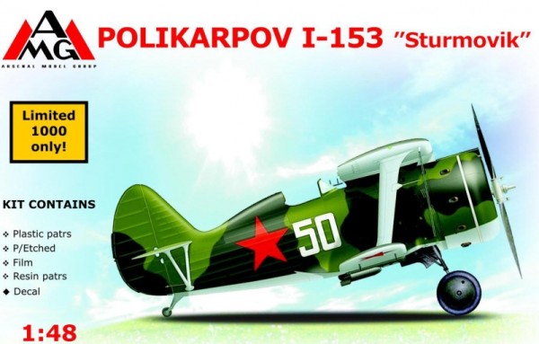 AMG48306   Polikarpov I-153 ‘Sturmovik’ (thumb14736)