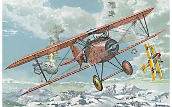 RN024   Albatros D.III Oeffag s.153 (early) (thumb20045)