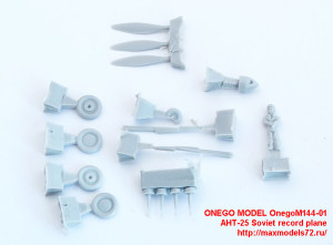 OnegoM144-01   АНТ-25 Soviet record plane (attach3 23369)