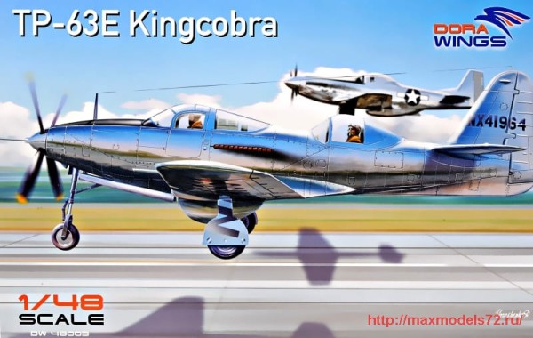 DW48003   TP-63E Kingcobra (two seat) (thumb32714)