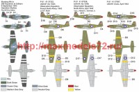 BRP72037   P-51/ Mustang Ia (attach2 39311)