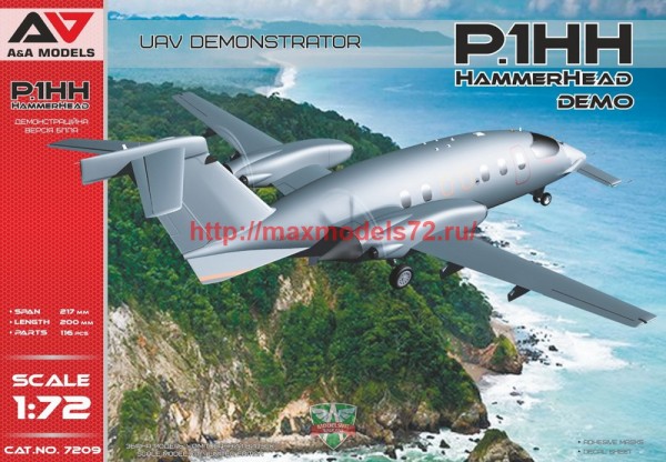 AAM7209   P1.HH Hammerhead (Demo) UAV (thumb57797)