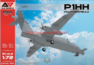 AAM7210   P1 HH HammerHead UAV (2nd flying prototype) (thumb57801)