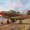BRP144016   P-39 Airacobra „Red Stars“ (thumb62143)