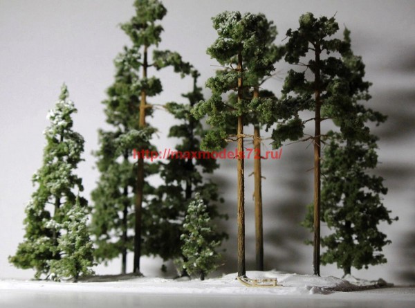 Forest72004   Сосна. 15 см.   Pine. 15 cm. (thumb62000)