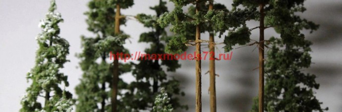 Forest72004   Сосна. 15 см.   Pine. 15 cm. (thumb62000)