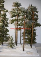 Forest72004   Сосна. 15 см.   Pine. 15 cm. (attach1 62000)