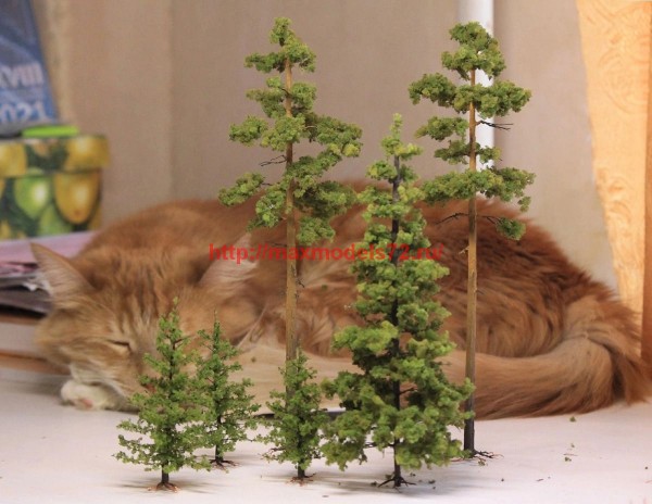 Forest72006   Ель. 10 см.   Spruce. 10 cm. (thumb62006)